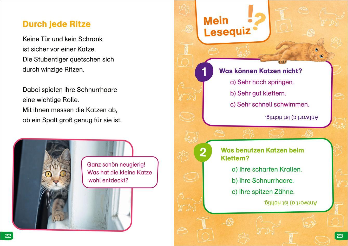 Bild: 9783788677282 | WAS IST WAS Erstes Lesen easy! Band 10. Katzen - meine Lieblingstiere