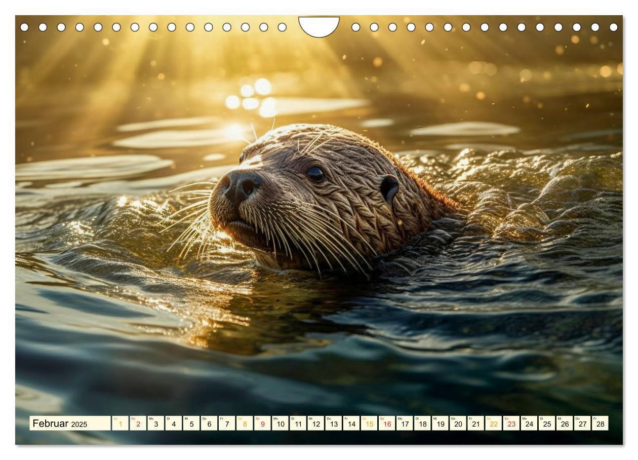 Bild: 9783383867774 | Fischotter - schlaue Jäger (Wandkalender 2025 DIN A4 quer),...