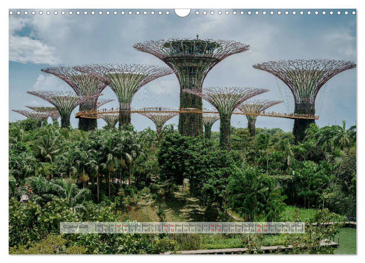 Bild: 9781325945061 | Discover Singapore (Wall Calendar 2025 DIN A3 landscape), CALVENDO...