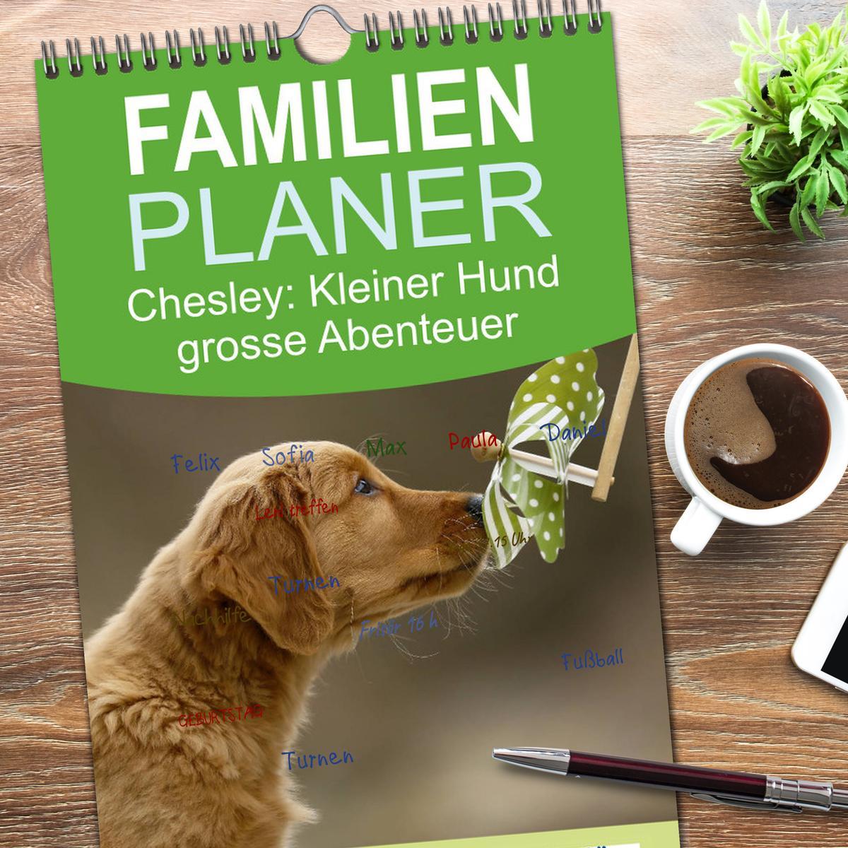 Bild: 9783457118108 | Familienplaner 2025 - Chesley Kleiner Hund grosse Abenteuer mit 5...