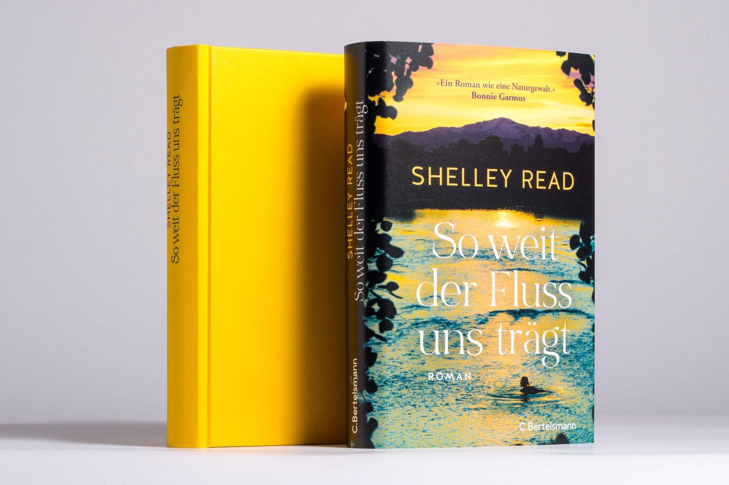 Bild: 9783570105139 | So weit der Fluss uns trägt | Shelley Read | Buch | 368 S. | Deutsch