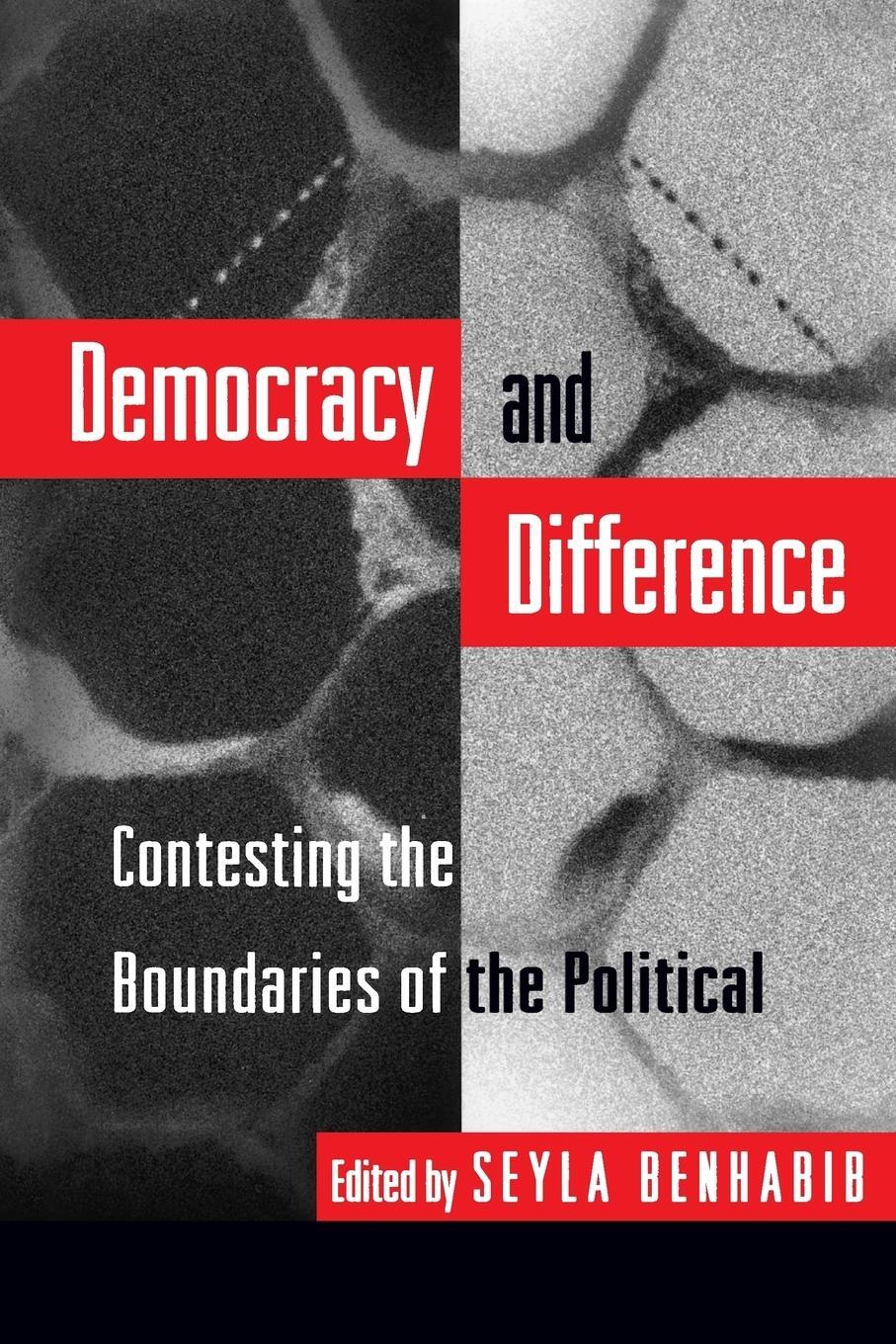 Cover: 9780691044781 | Democracy and Difference | Contesting the Boundaries of the Political