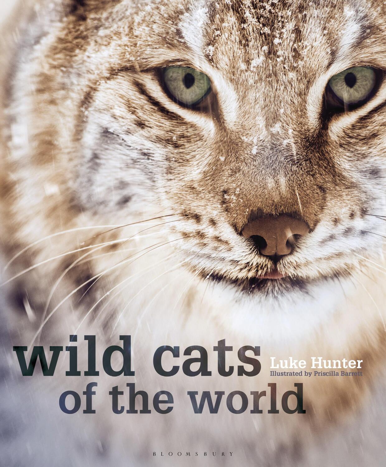 Cover: 9781472968265 | Wild Cats of the World | Luke Hunter | Buch | Gebunden | Englisch