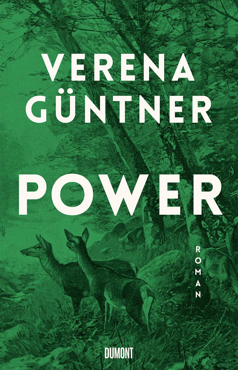 Cover: 9783832183691 | Power | Roman | Verena Güntner | Buch | Deutsch | 2020