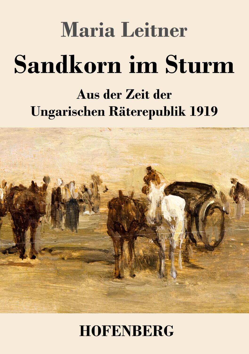 Cover: 9783743740969 | Sandkorn im Sturm | Aus der Zeit der Ungarischen Räterepublik 1919