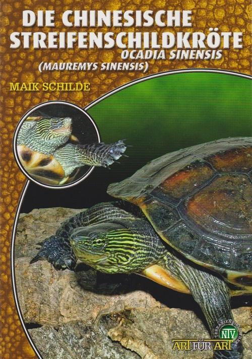 Cover: 9783937285900 | Die Chinesische Streifenschildkröte | Maik Schilde | Taschenbuch