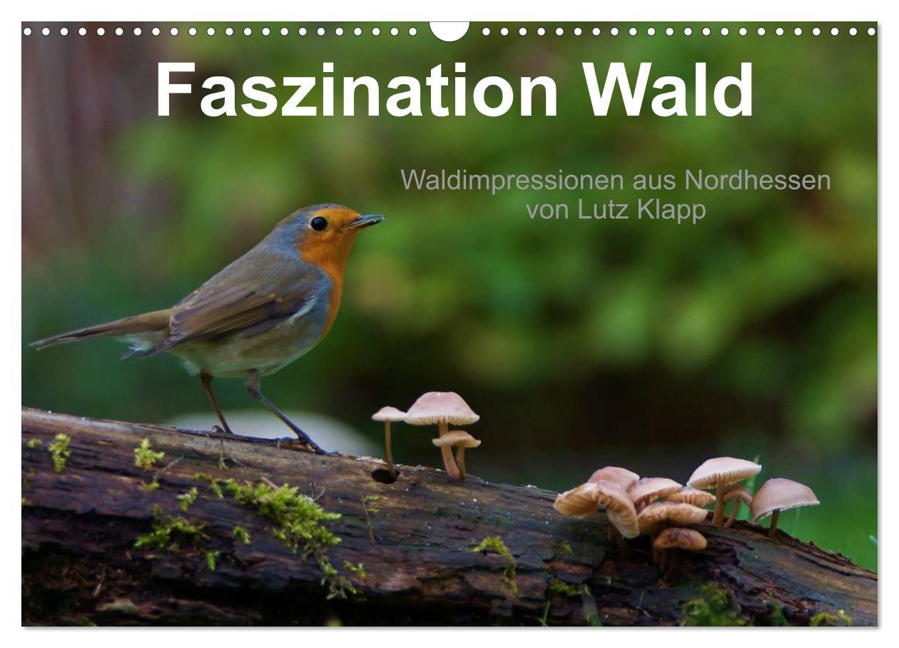 Cover: 9783435748808 | Faszination Wald. Waldimpressionen aus Nordhessen von Lutz Klapp...