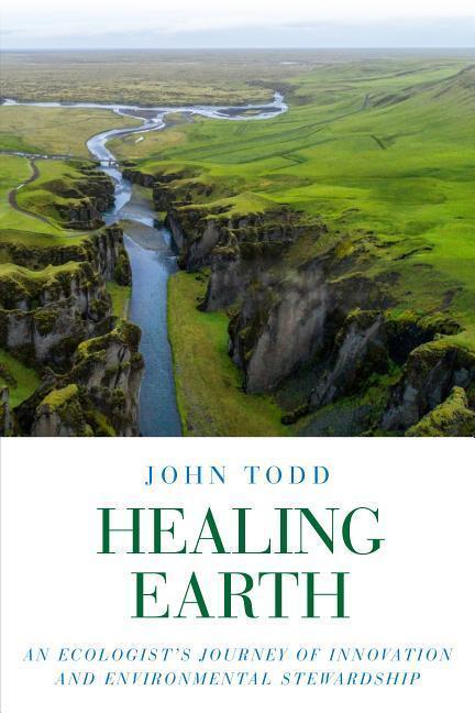 Cover: 9781623172985 | Healing Earth | John Todd | Taschenbuch | Englisch | 2019