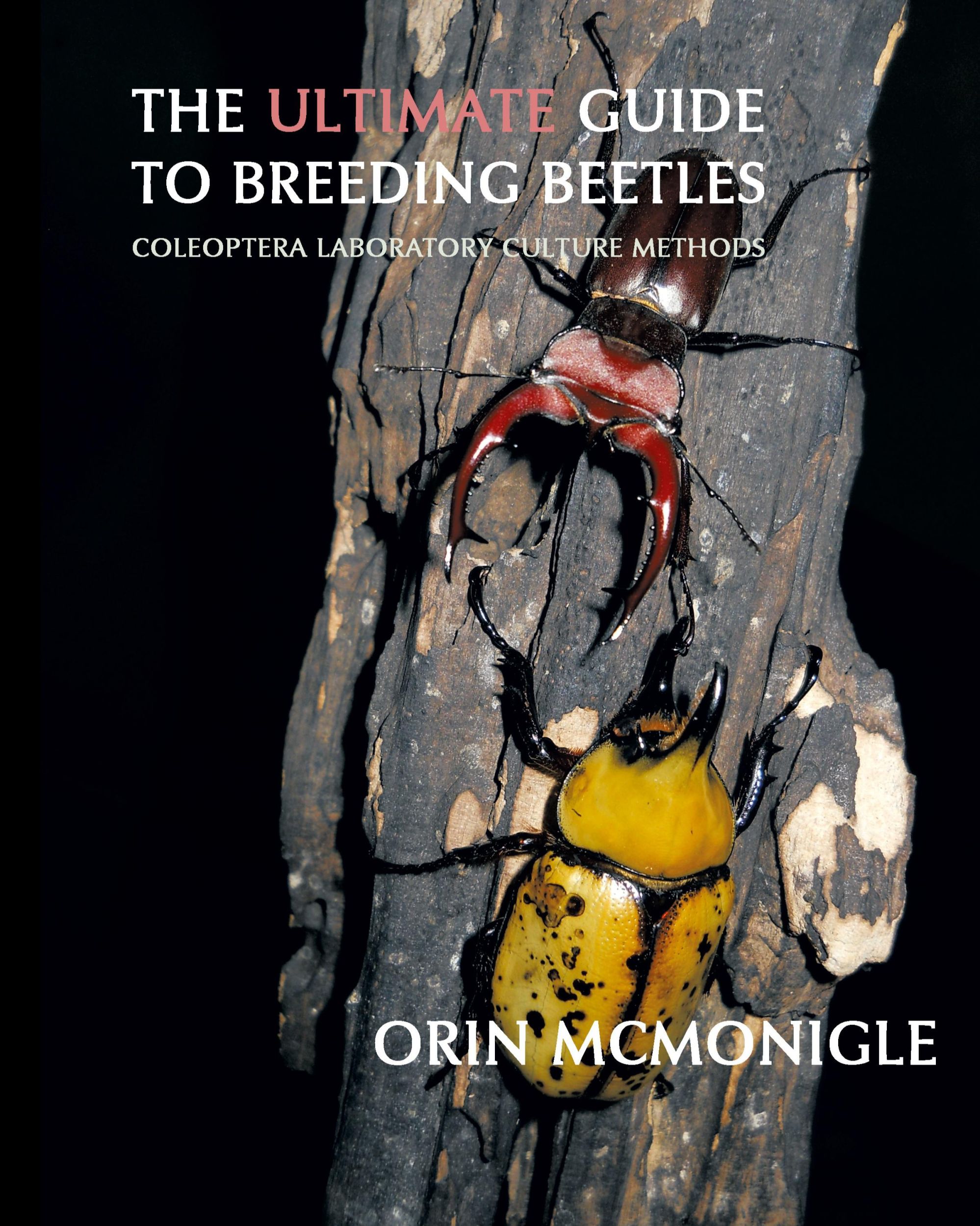 Cover: 9781616461324 | The Ultimate Guide to Breeding Beetles | Orin McMonigle | Buch | 2012