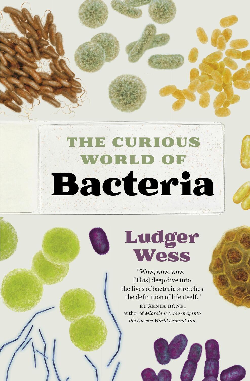Cover: 9781771648257 | The Curious World of Bacteria | Ludger Wess | Buch | Gebunden | 2023