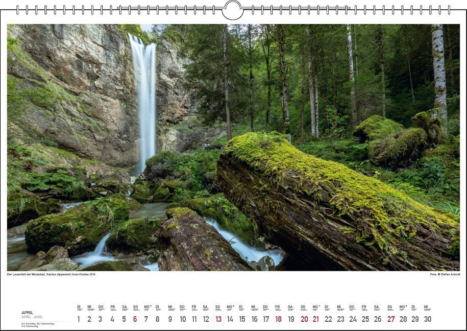 Bild: 9783861924043 | Bodensee Wasser.Berge.Licht. 2025 | Stefan Arendt | Kalender | 13 S.