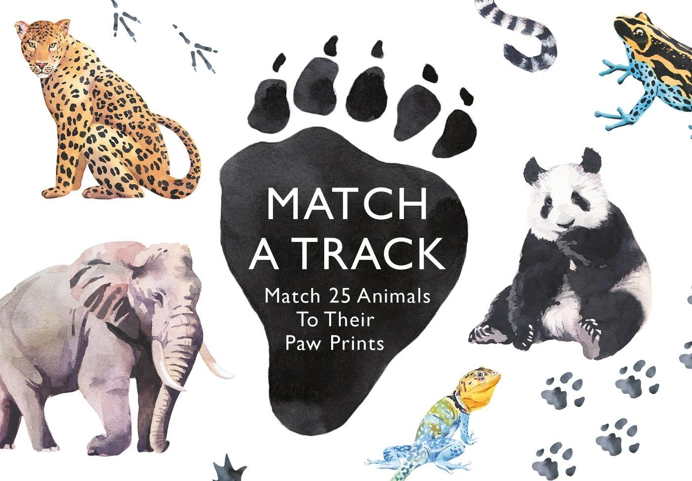 Cover: 9781780679648 | Match a Track | Match 25 Animals to Their Paw Prints | Marcel George