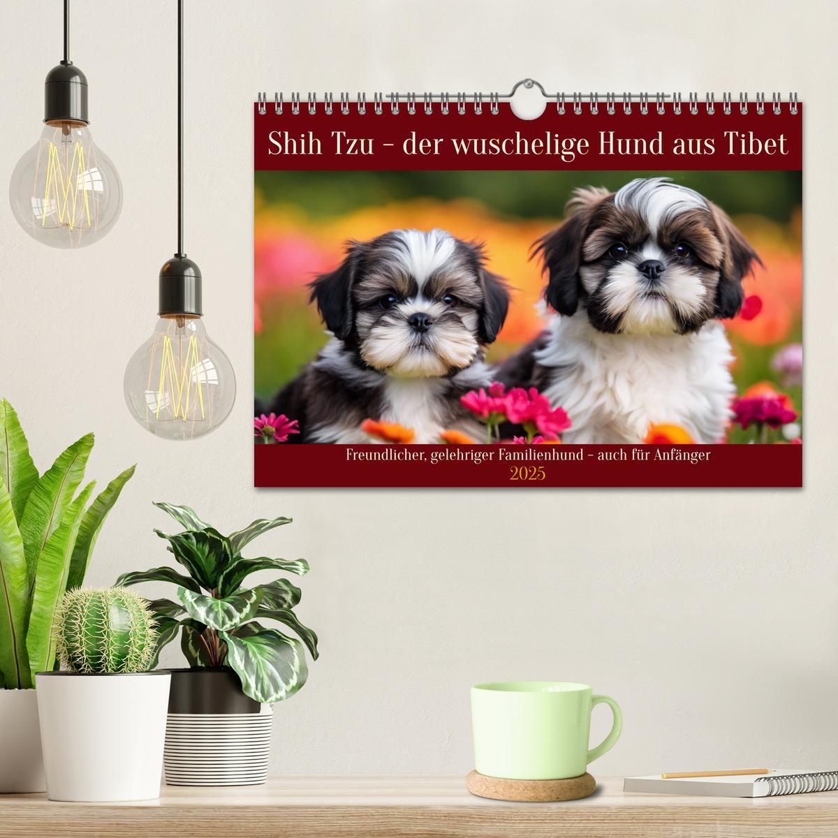 Bild: 9783435639564 | Shih Tzu - der wuschelige Hund aus Tibet (Wandkalender 2025 DIN A4...