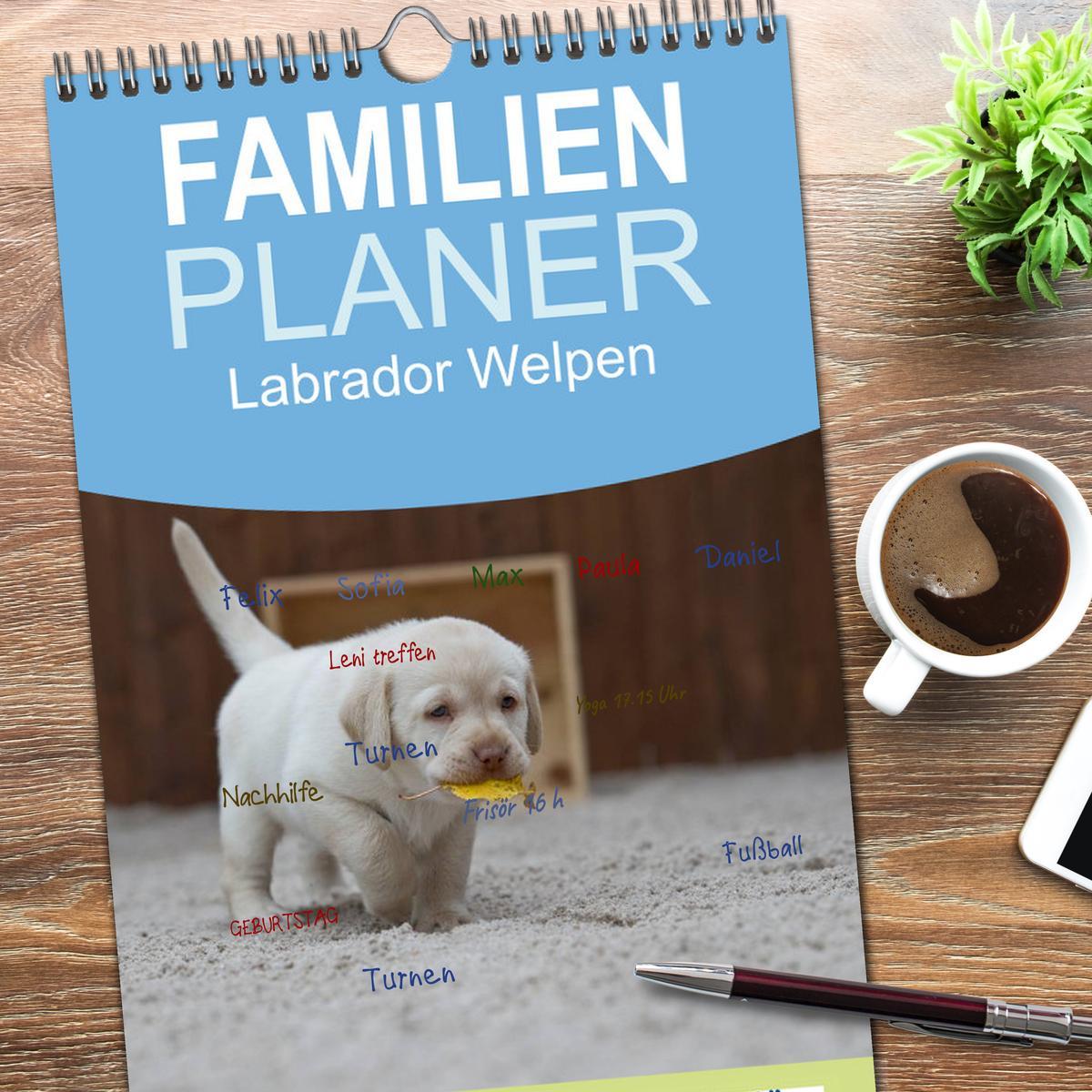 Bild: 9783457110102 | Familienplaner 2025 - Labrador Welpen mit 5 Spalten (Wandkalender,...