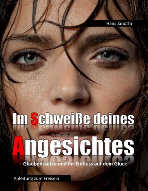 Cover: 9783734783265 | Im Schweiße deines Angesichtes | Hans Janotta | Taschenbuch | 216 S.