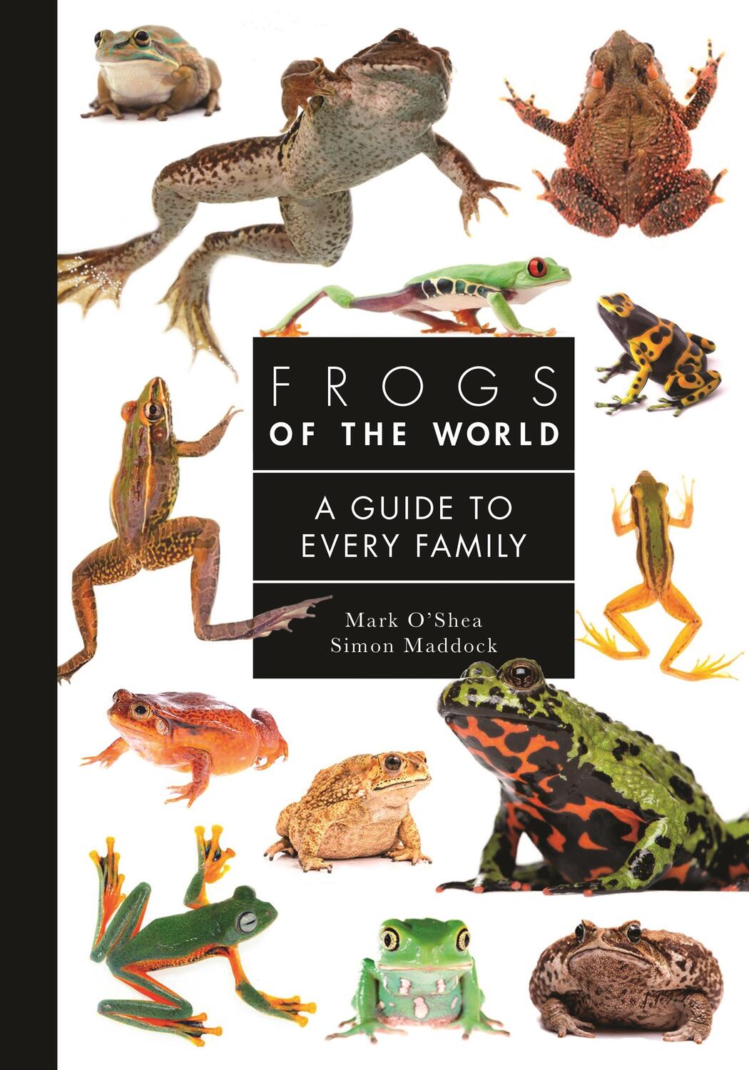 Cover: 9780691248301 | Frogs of the World | A Guide to Every Family | Mark O'Shea (u. a.)