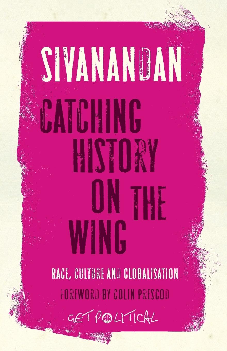 Cover: 9780745328348 | Catching History On The Wing | Race, Culture And Globalisation | Buch