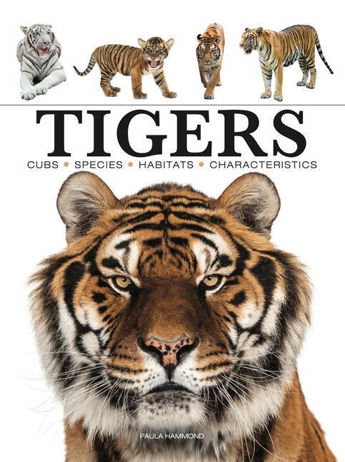 Cover: 9781838862602 | Tigers | Paula Hammond | Taschenbuch | Kartoniert / Broschiert | 2023