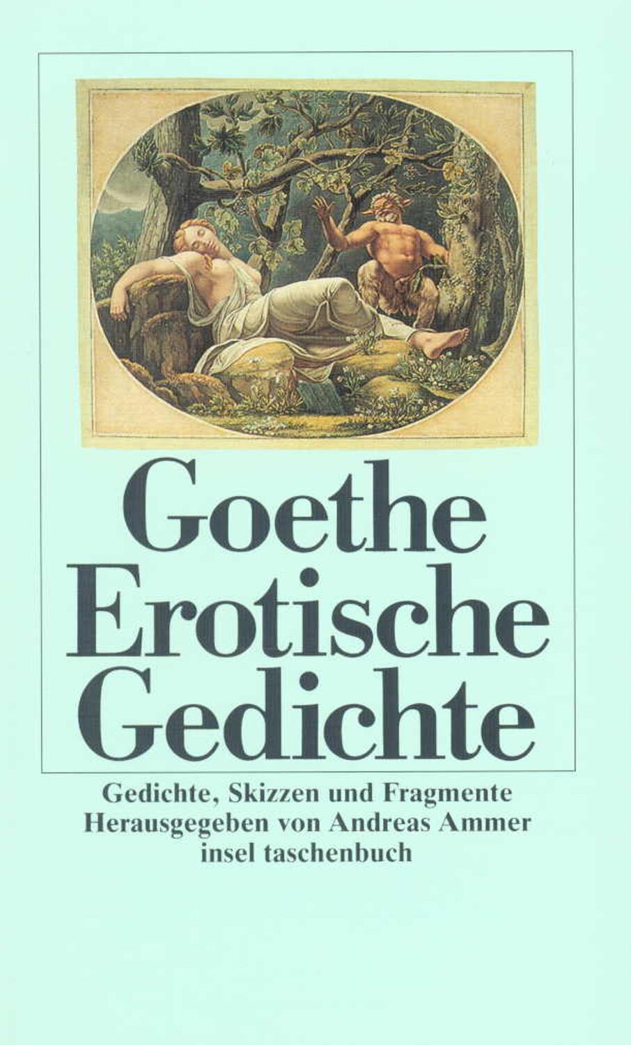 Cover: 9783458329251 | Erotische Gedichte | Gedichte, Skizzen und Fragmente | Goethe | Buch