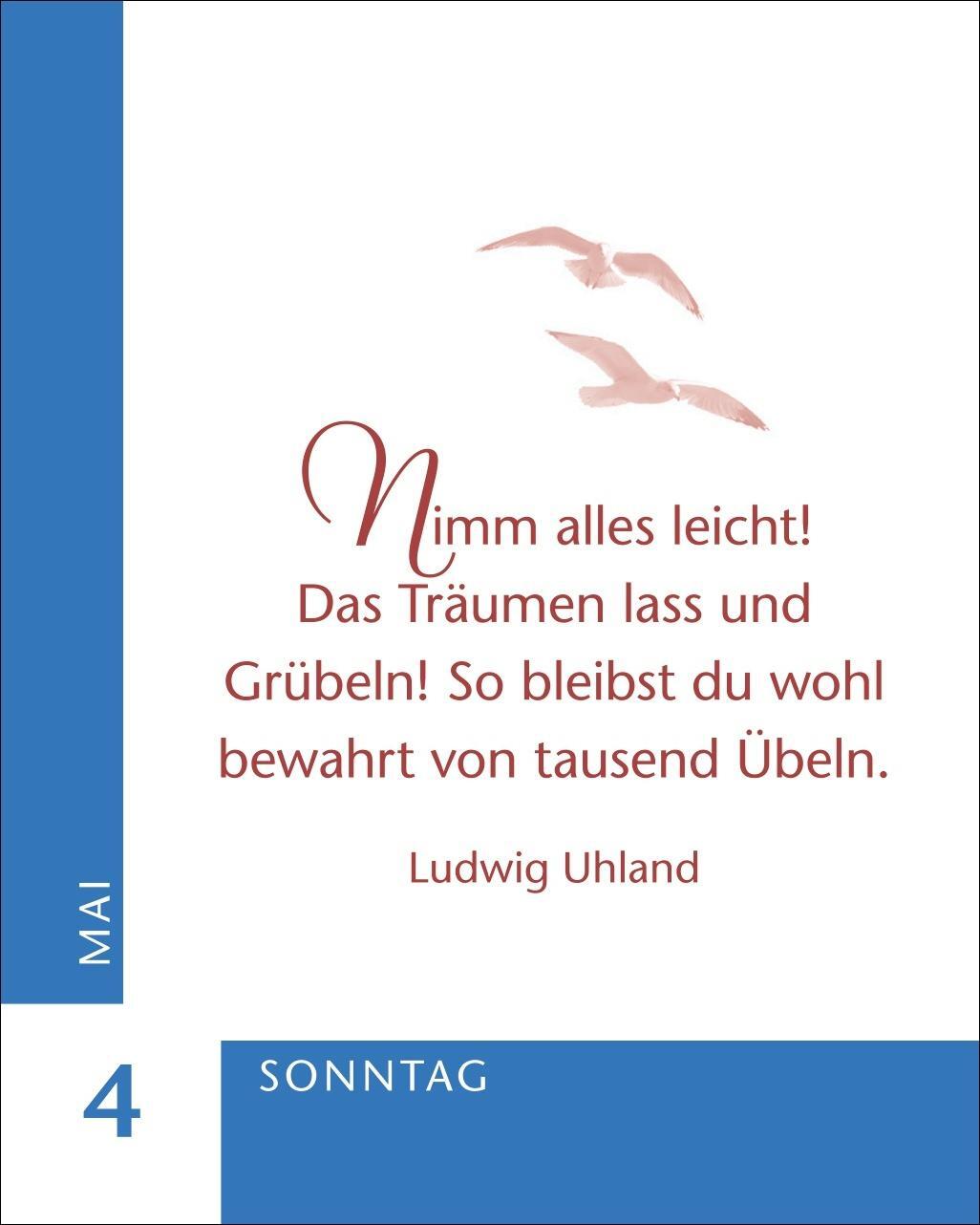 Bild: 9783840034183 | Ein Jahr der Gelassenheit Mini-Geschenkkalender 2025 | Artel | 380 S.