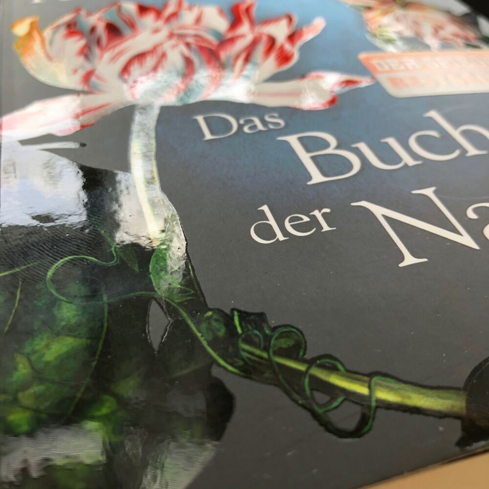 Bild: 9783734100499 | Das Buch der Nacht | Roman | Deborah Harkness | Taschenbuch | 764 S.