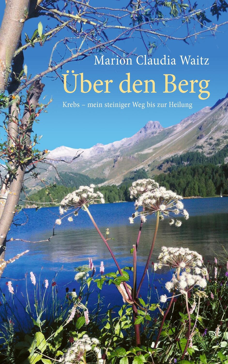 Cover: 9783739266596 | Über den Berg | Krebs - mein steiniger Weg bis zur Heilung | Waitz