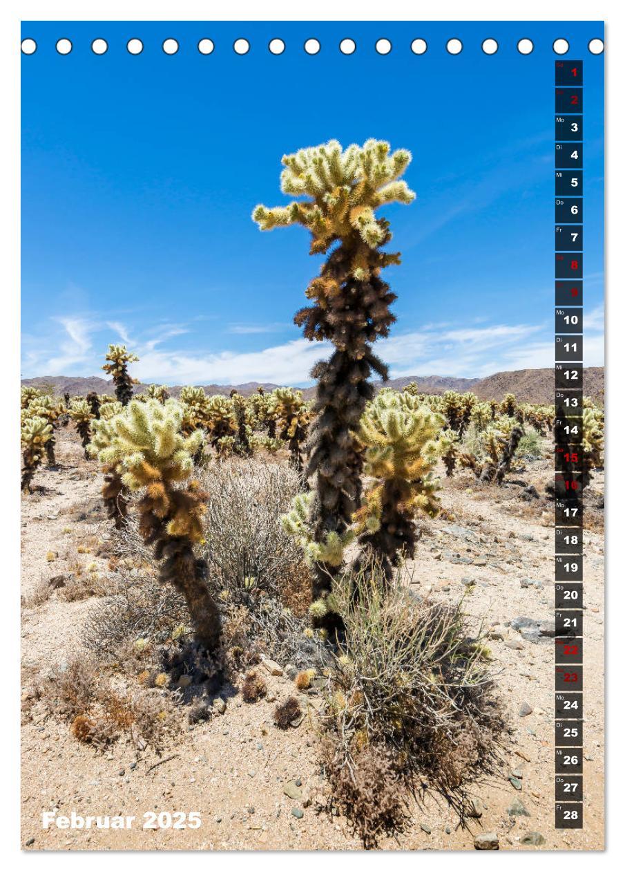 Bild: 9783435961108 | Impressionen aus dem JOSHUA TREE NATIONAL PARK (Tischkalender 2025...