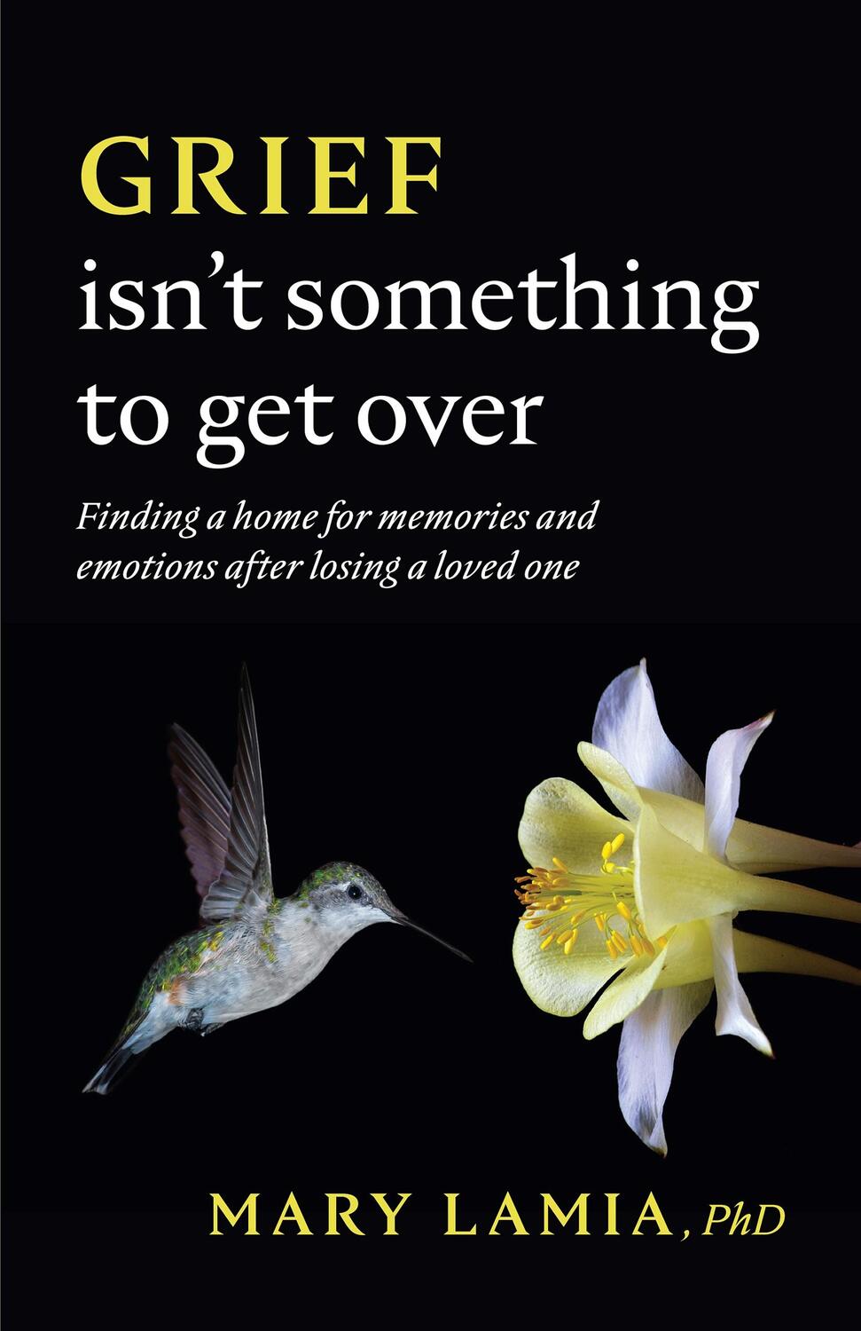Cover: 9781433837944 | Grief Isn't Something to Get Over: Finding a Home for Memories and...