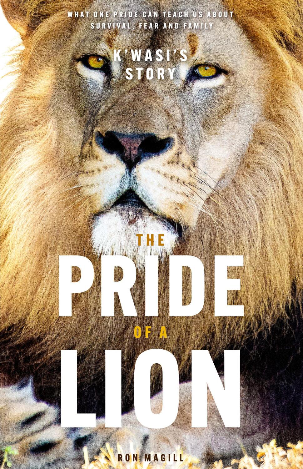 Bild: 9781684811663 | The Pride of a Lion | Ron Magill (u. a.) | Taschenbuch | Englisch