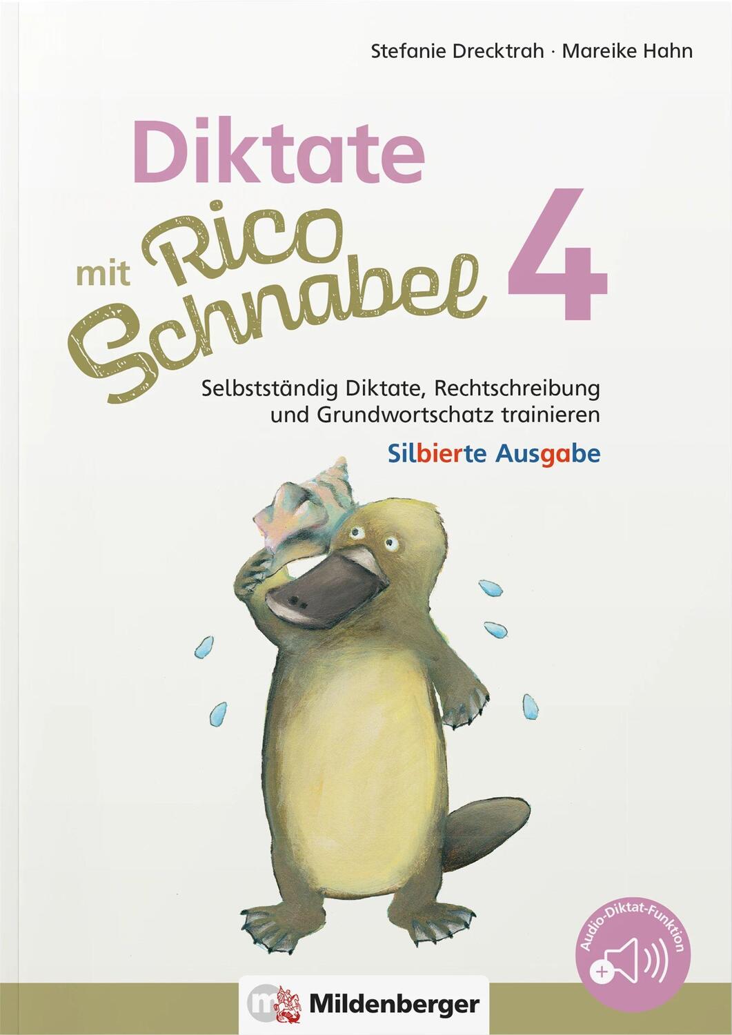 Cover: 9783619420452 | Diktate mit Rico Schnabel, Klasse 4 - silbierte Ausgabe | Broschüre