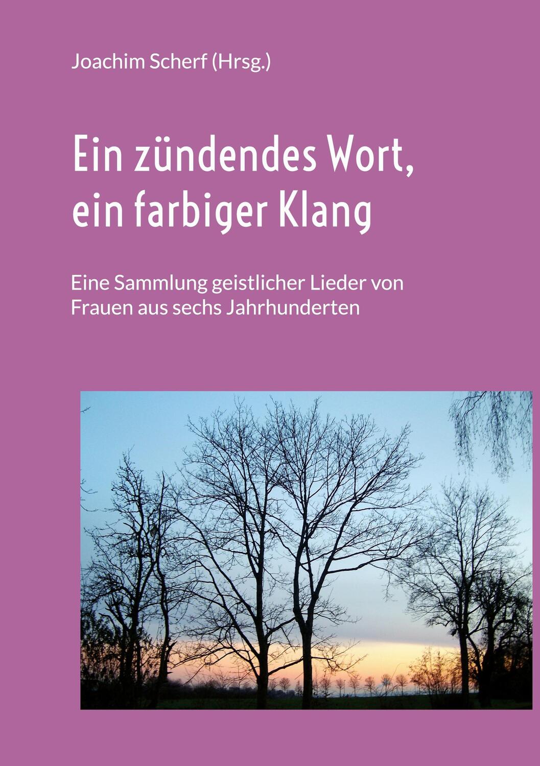 Cover: 9783738643657 | Ein zündendes Wort, ein farbiger Klang | Joachim Scherf | Taschenbuch