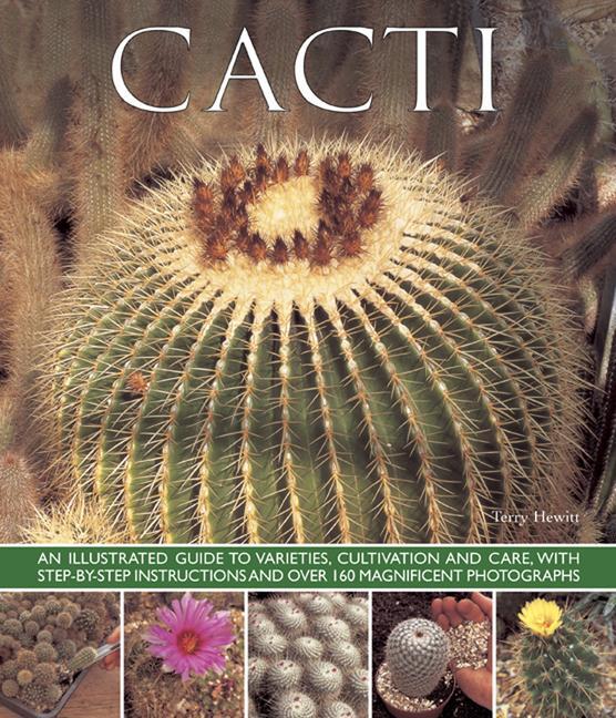 Cover: 9781780192840 | Cacti | Terry Hewitt | Taschenbuch | Englisch | 2013