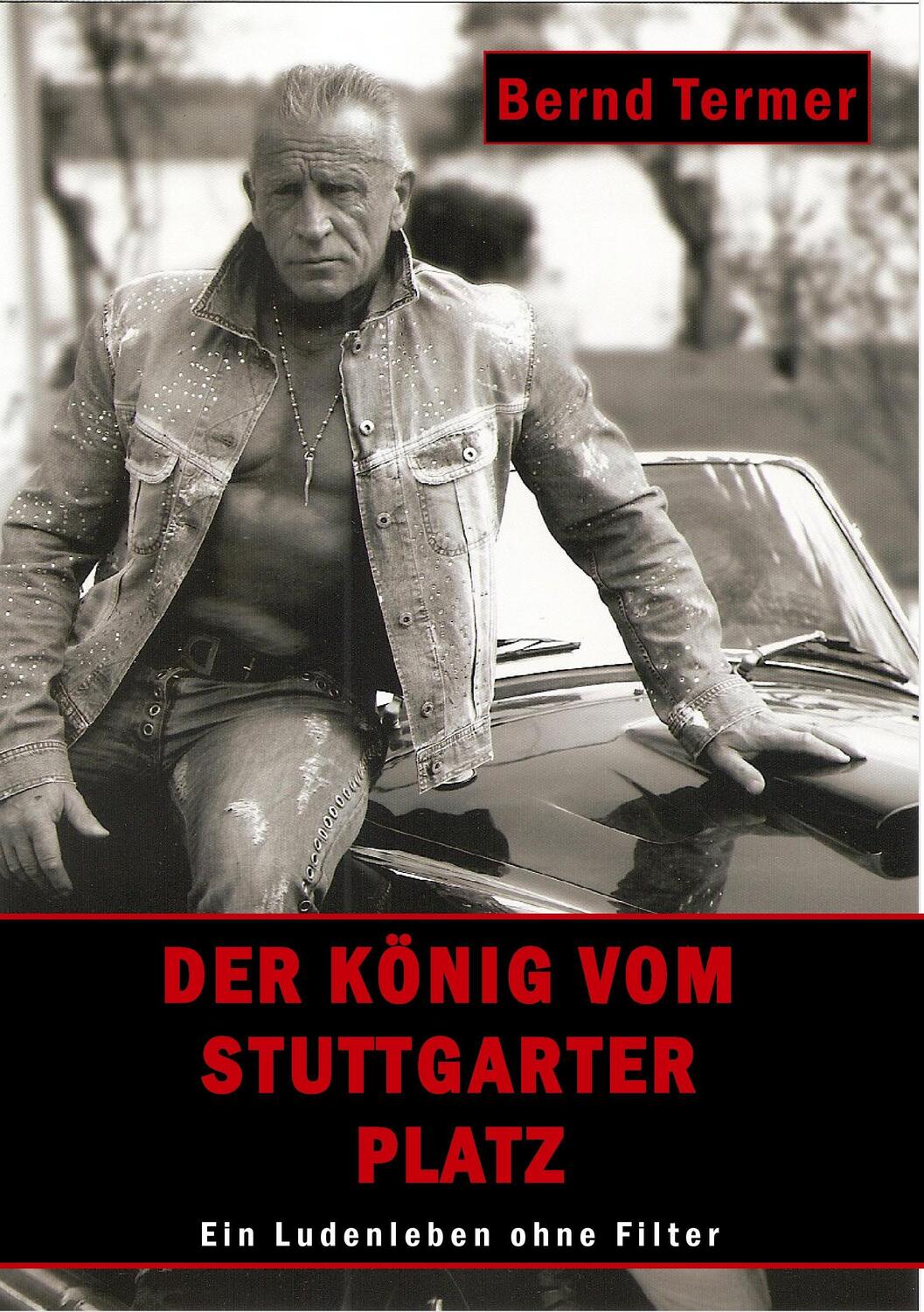 Cover: 9783735791962 | Der König vom Stuttgarter Platz | Ein Ludenleben ohne Filter | Termer
