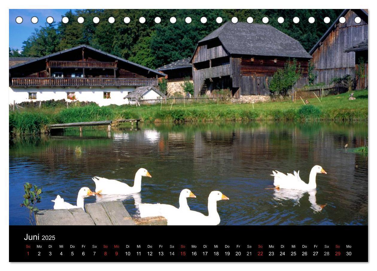 Bild: 9783435728619 | Bayerischer Wald (Tischkalender 2025 DIN A5 quer), CALVENDO...