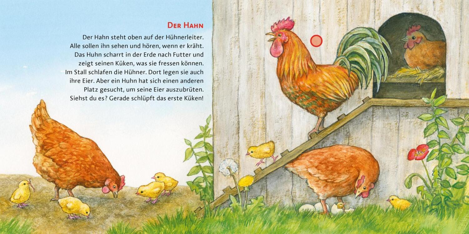 Bild: 9783551253965 | Hör mal (Soundbuch): Der Bauernhof | Anne Möller | Buch | 14 S. | 2023