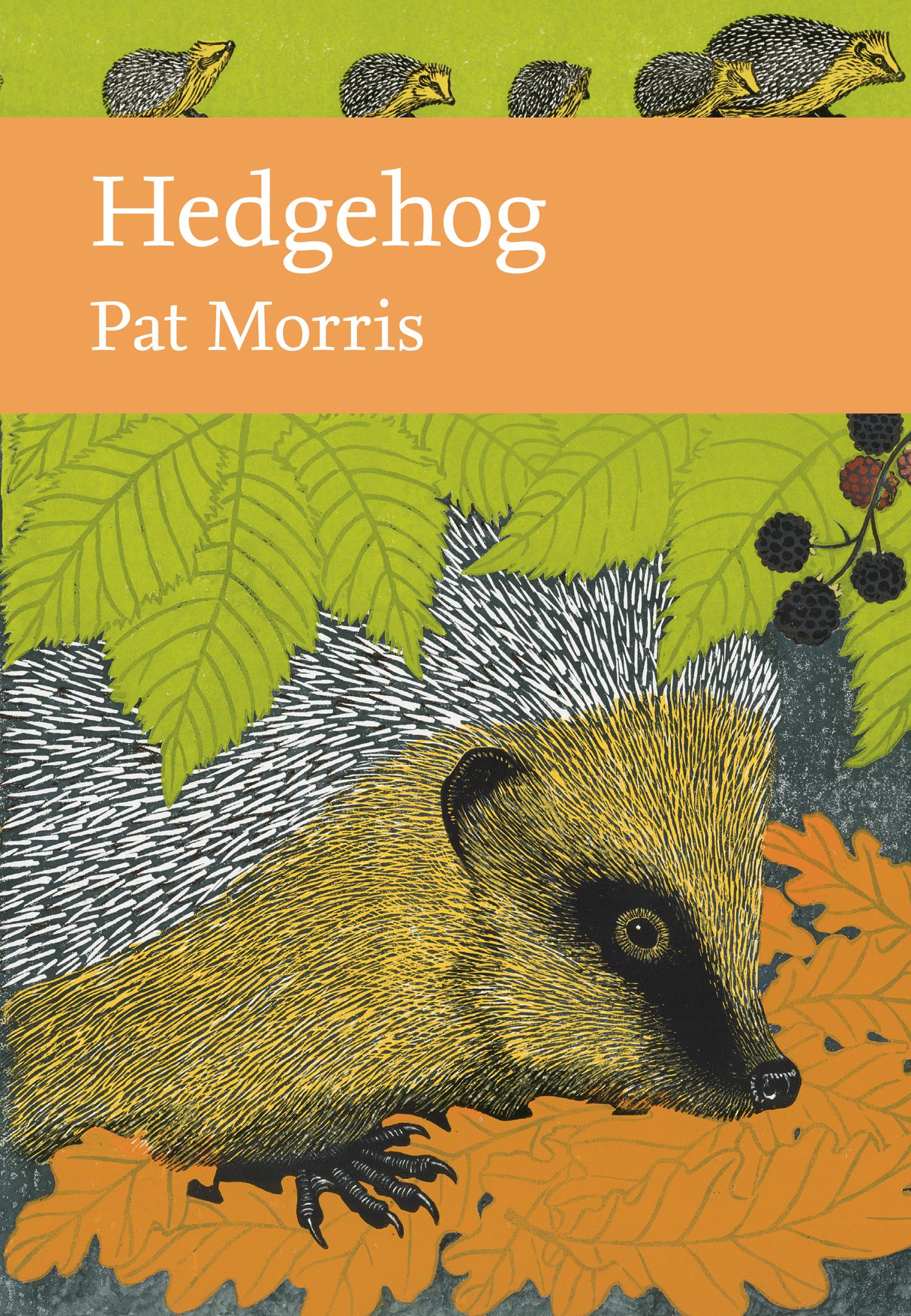 Cover: 9780008235703 | Hedgehog | Pat Morris | Buch | Englisch | 2018 | EAN 9780008235703