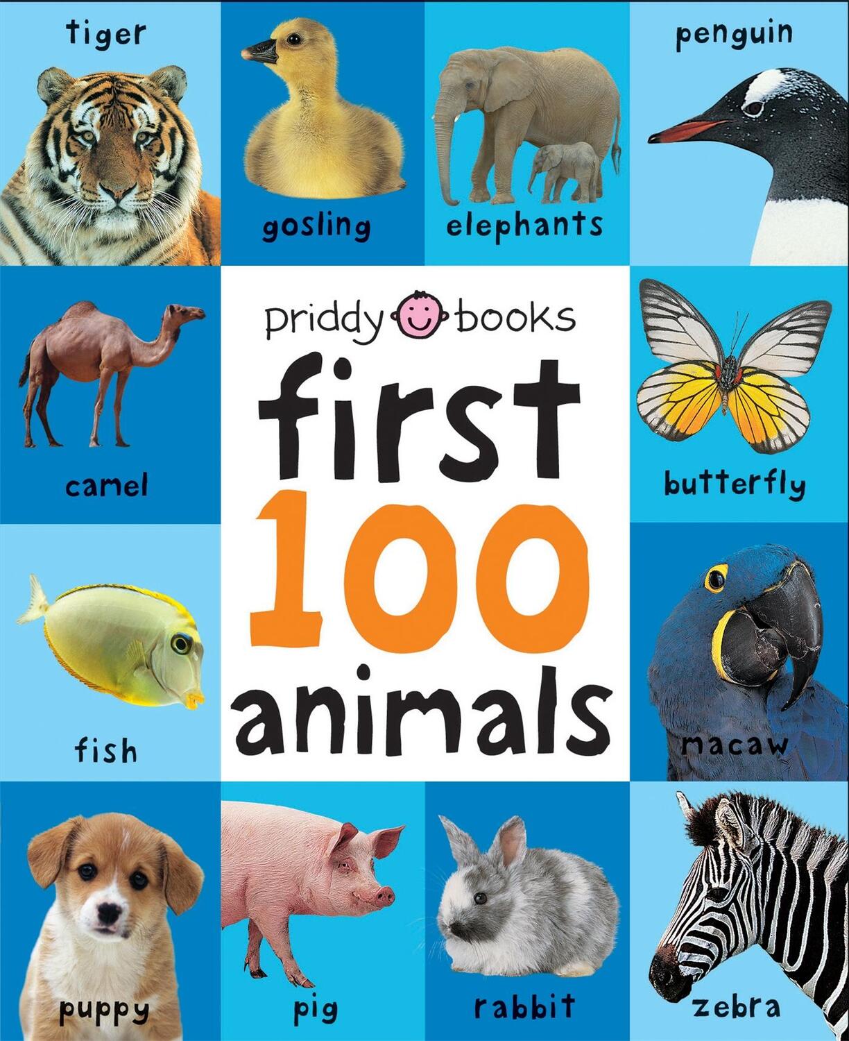 Cover: 9781849154215 | Animals | First 100 Soft To Touch | Roger Priddy | Buch | Englisch