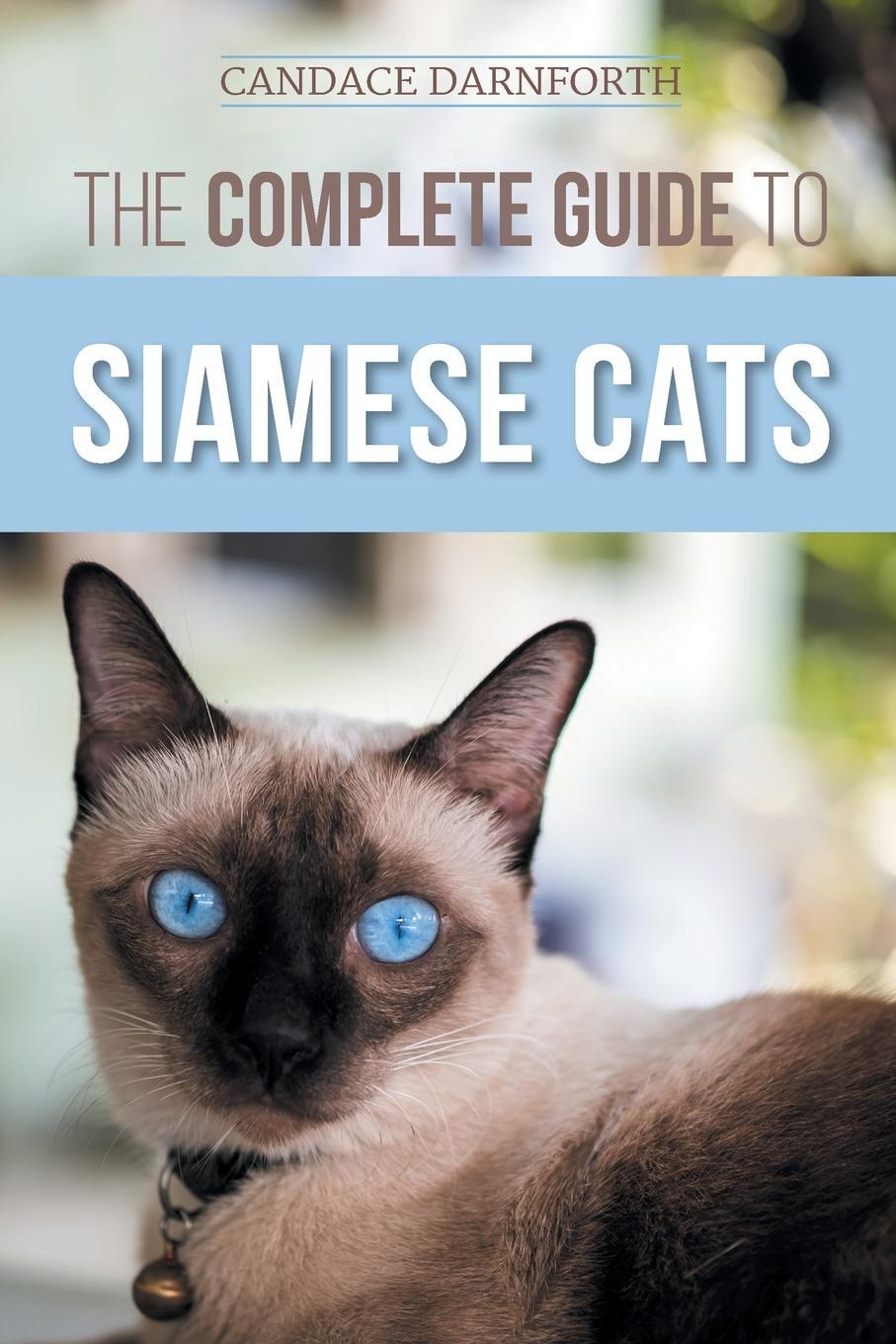 Cover: 9781954288522 | The Complete Guide to Siamese Cats | Candace Darnforth | Taschenbuch