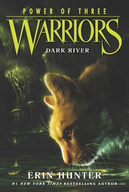 Cover: 9780062367099 | Warriors: Power of Three #2: Dark River | Erin Hunter | Taschenbuch