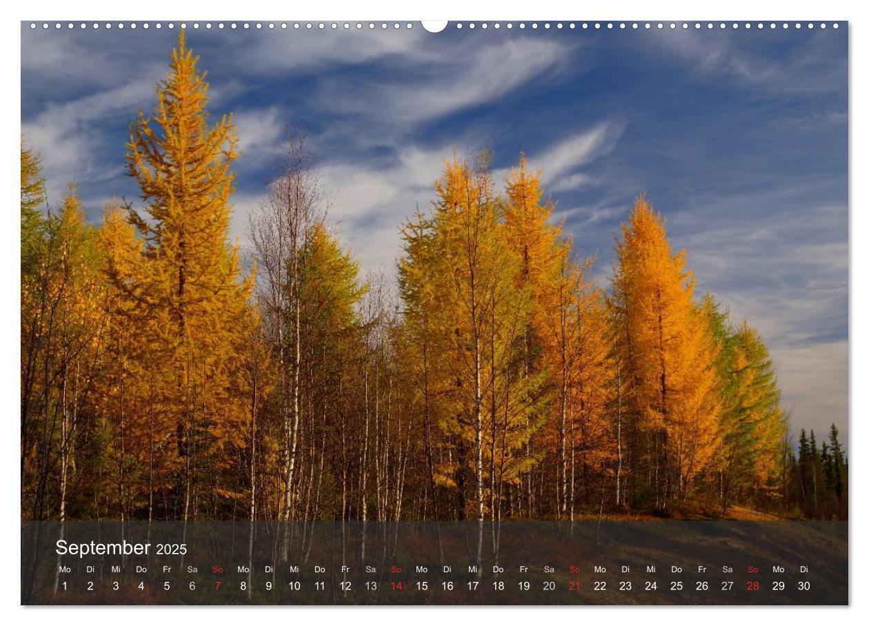 Bild: 9783435776863 | Lappland 2025 (Wandkalender 2025 DIN A2 quer), CALVENDO Monatskalender