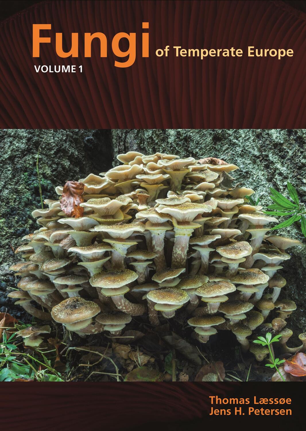 Cover: 9780691180373 | Fungi of Temperate Europe | Volume 1+2 | Thomas Laessoe (u. a.) | Buch
