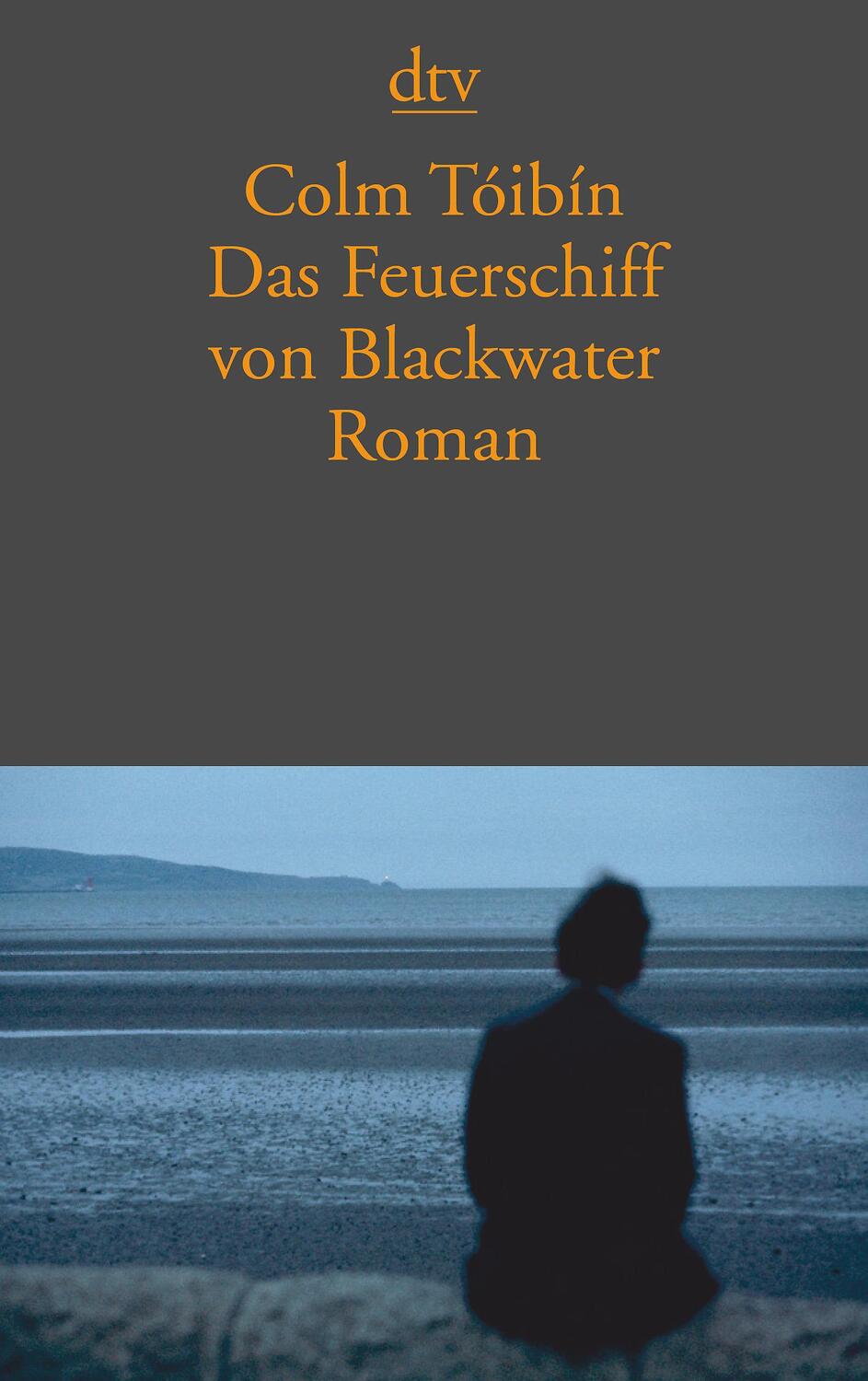 Cover: 9783423133555 | Das Feuerschiff von Blackwater | Colm Toibin | Taschenbuch | Deutsch