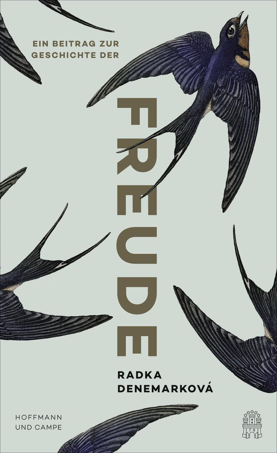 Cover: 9783455005110 | Ein Beitrag zur Geschichte der Freude | Radka Denemarková | Buch