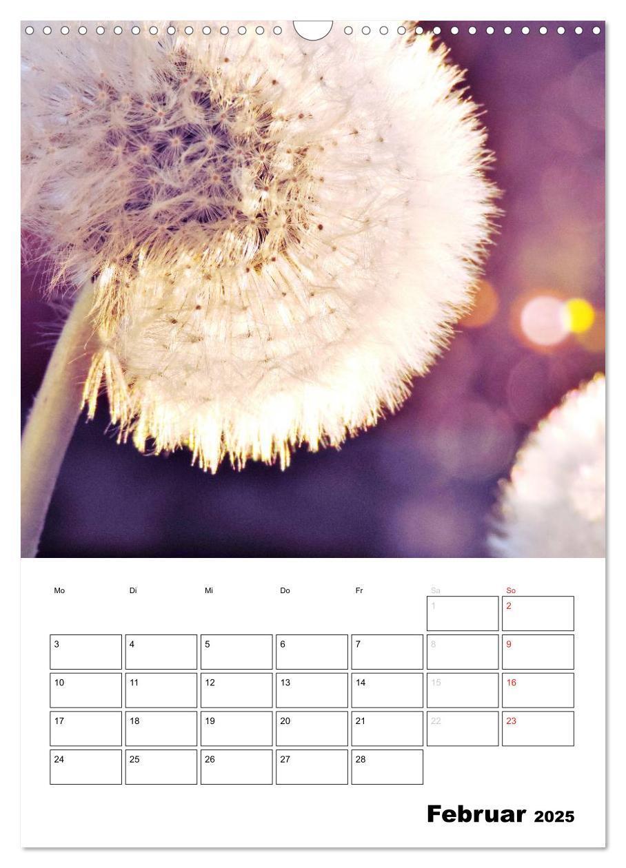 Bild: 9783457068458 | Pusteblumentraum - Dreams of Dandelion (Wandkalender 2025 DIN A3...