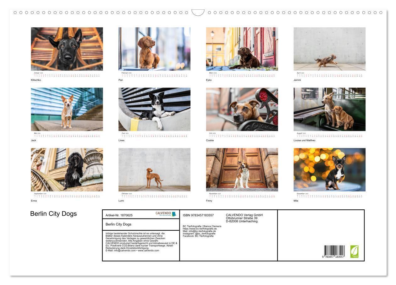 Bild: 9783457183557 | Berlin City Dogs - Berliner Hunde (Wandkalender 2025 DIN A2 quer),...