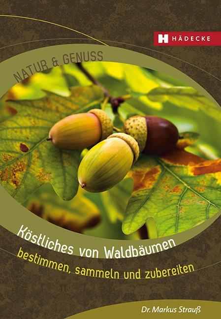 Cover: 9783775008020 | Köstliches von Waldbäumen | bestimmen, sammeln und zubereiten | Strauß