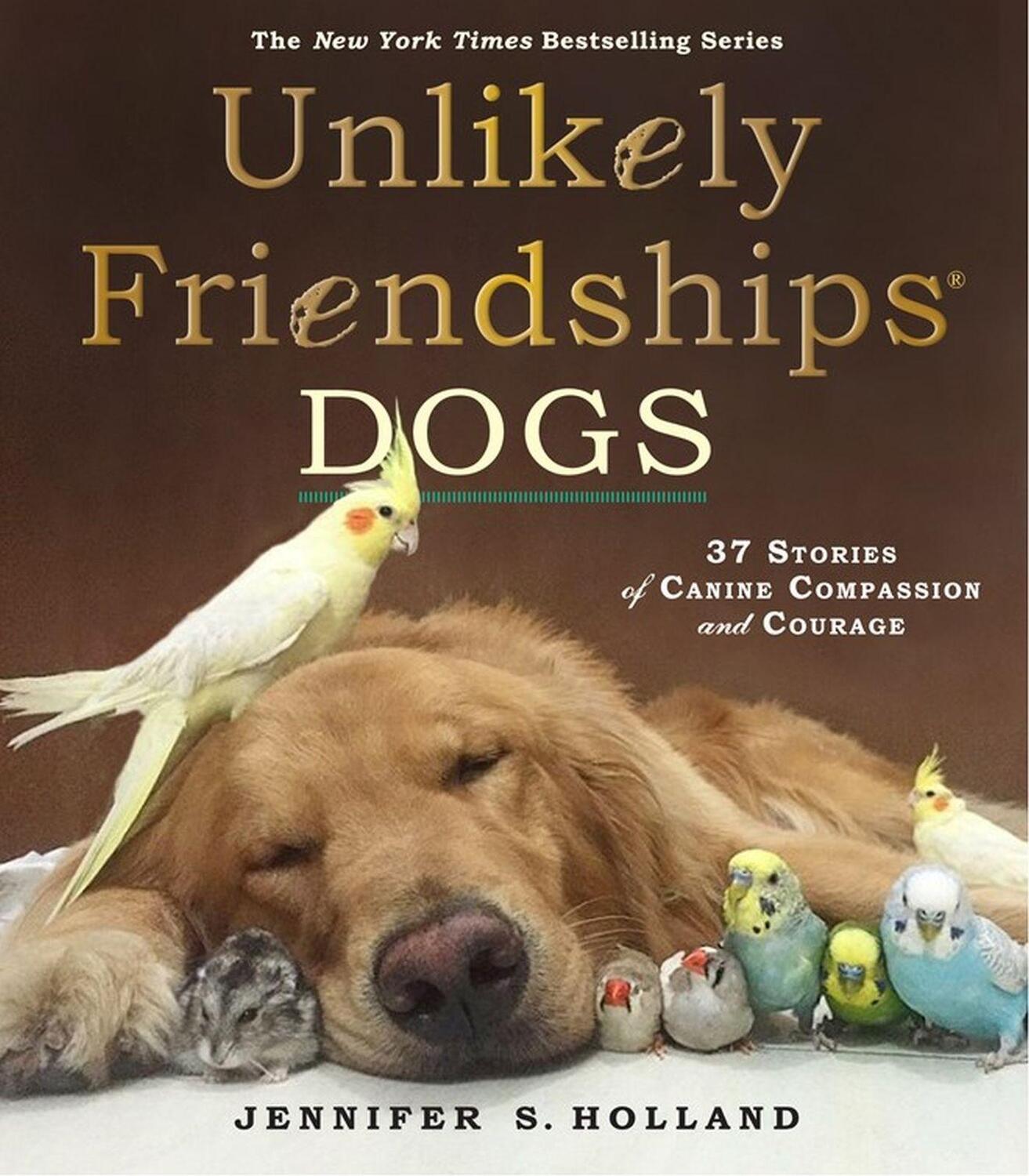Cover: 9780761187288 | Unlikely Friendships: Dogs | Jennifer S. Holland | Taschenbuch | 2016