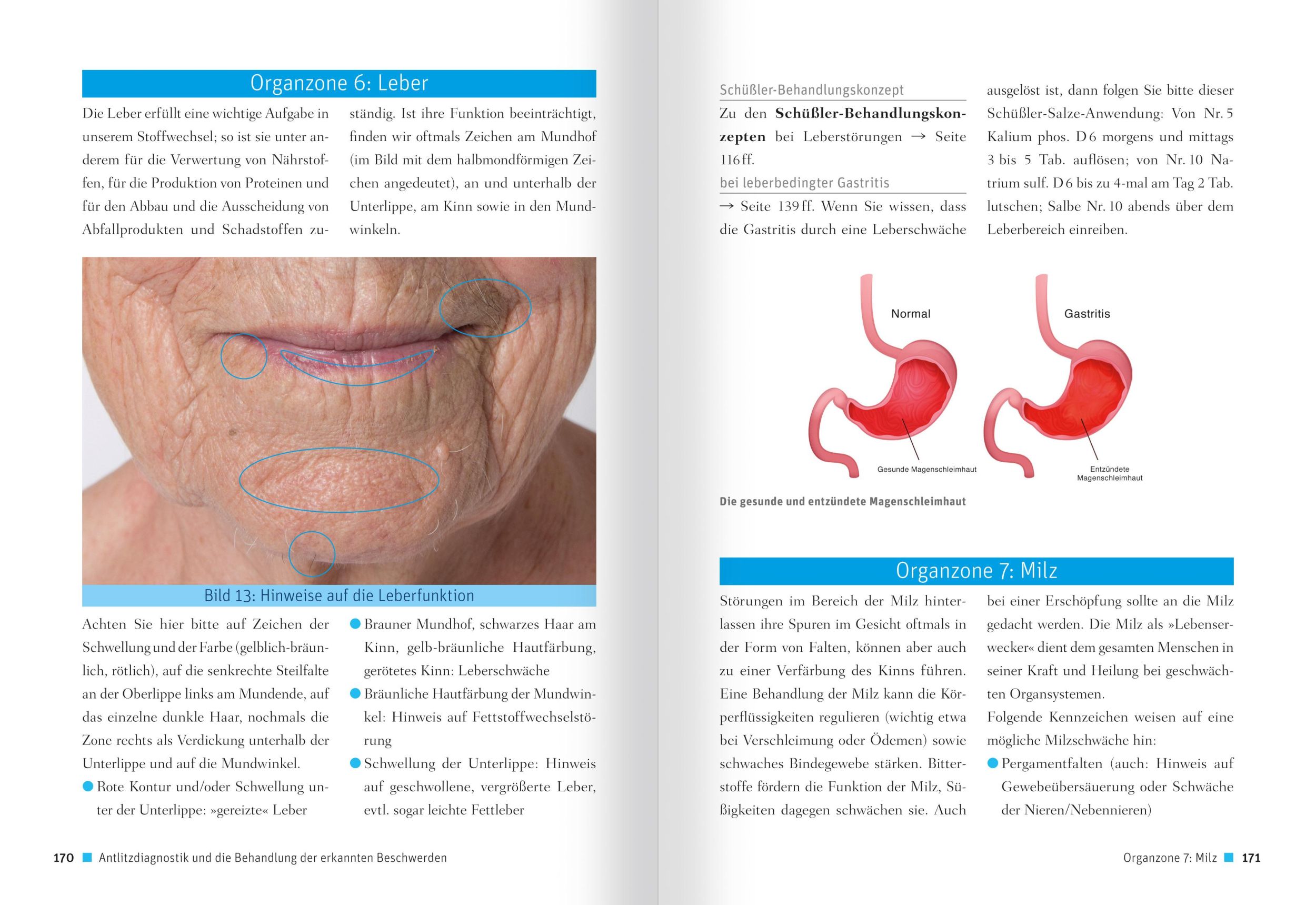 Bild: 9783863744557 | Schüßler-Salze - Gesichts- und Handdiagnostik | Reichenberg | Buch