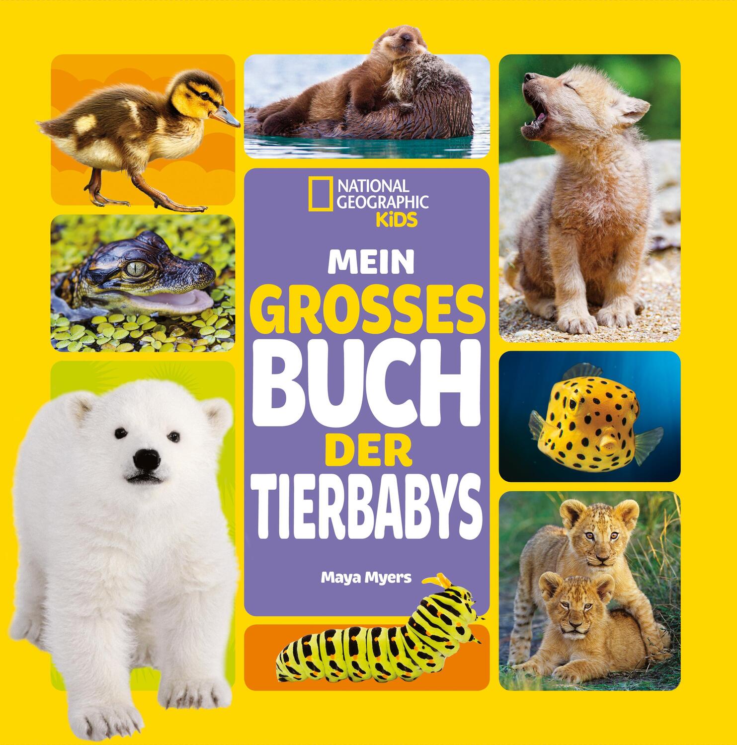 Cover: 9788863125412 | Mein großes Buch der Tierbabys | National Geographic Kids | Maya Myers