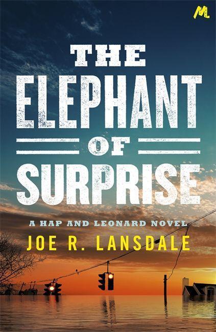 Cover: 9781473678101 | The Elephant of Surprise | Joe R. Lansdale | Taschenbuch | Englisch